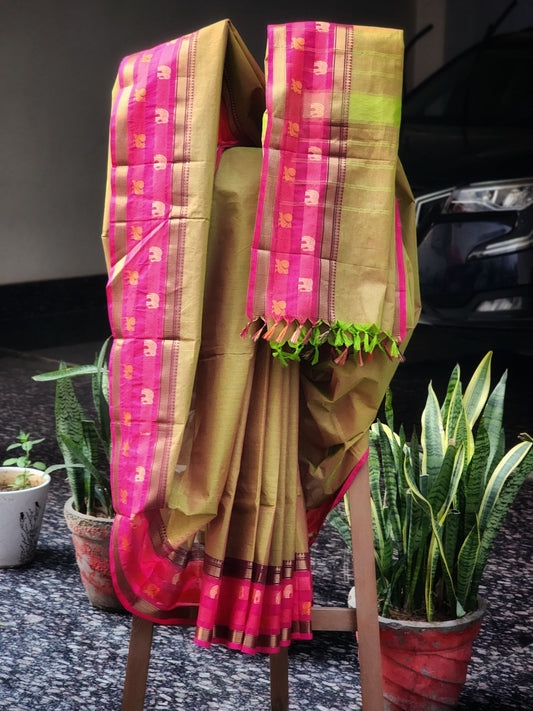 Green Kanchi cotton saree