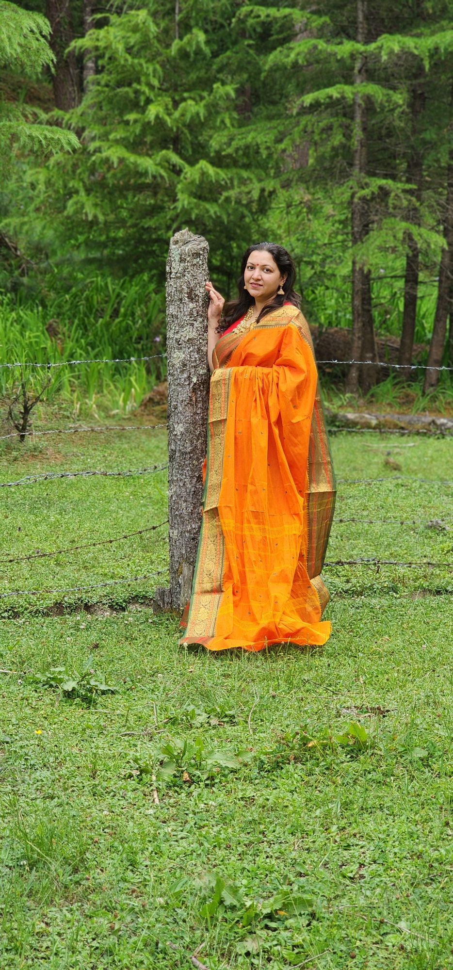 Orange Kanchi cotton saree